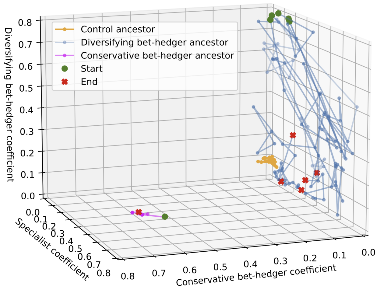 Effect of mutations on an evolved conservative and diversifying bet-hedger GRN in the 3D space of strategies. Lines represent the different random walks. The conservative BH is more robust than the diversifying BH.
