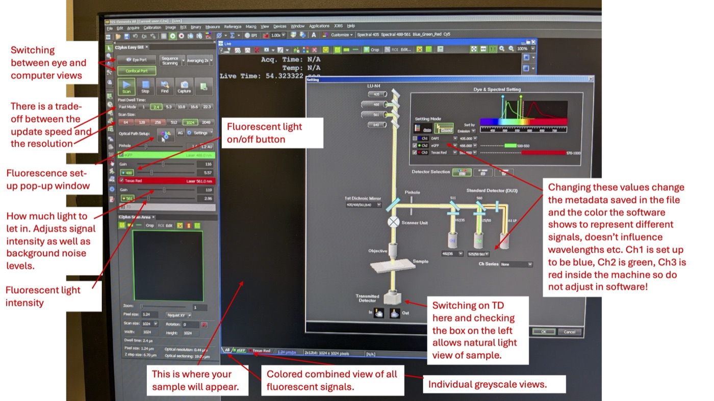 NIS-Elements software interface