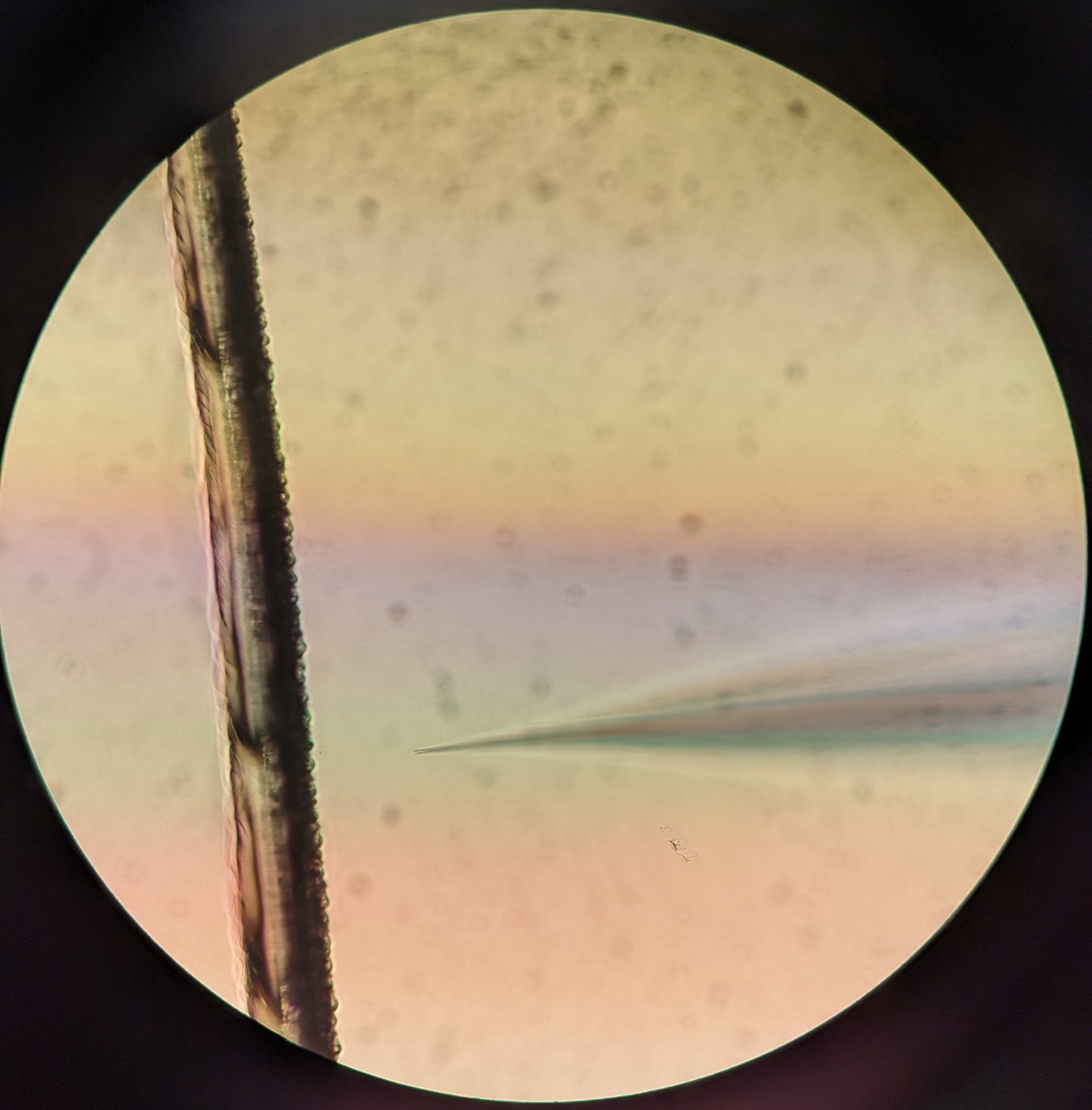 Broken needle with scratch mark