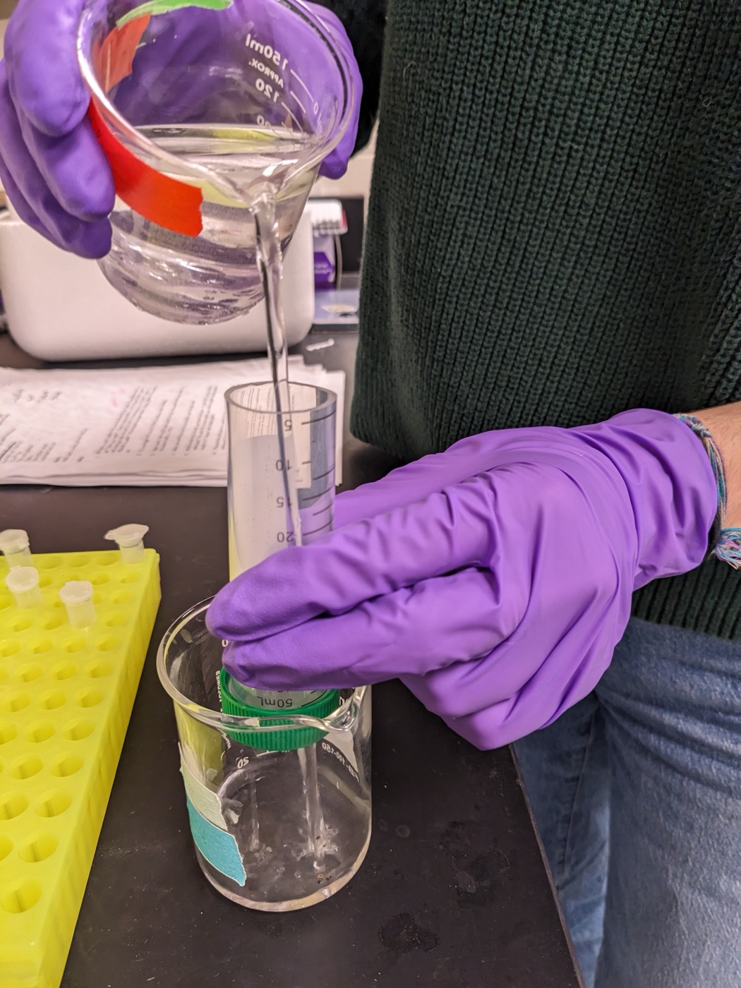 Dejellying by pouring the eggs over the mesh from ~3 cm