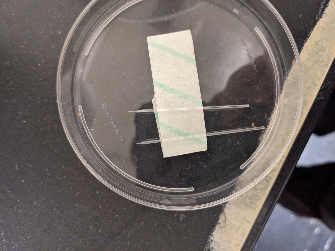 Storing pulled needles