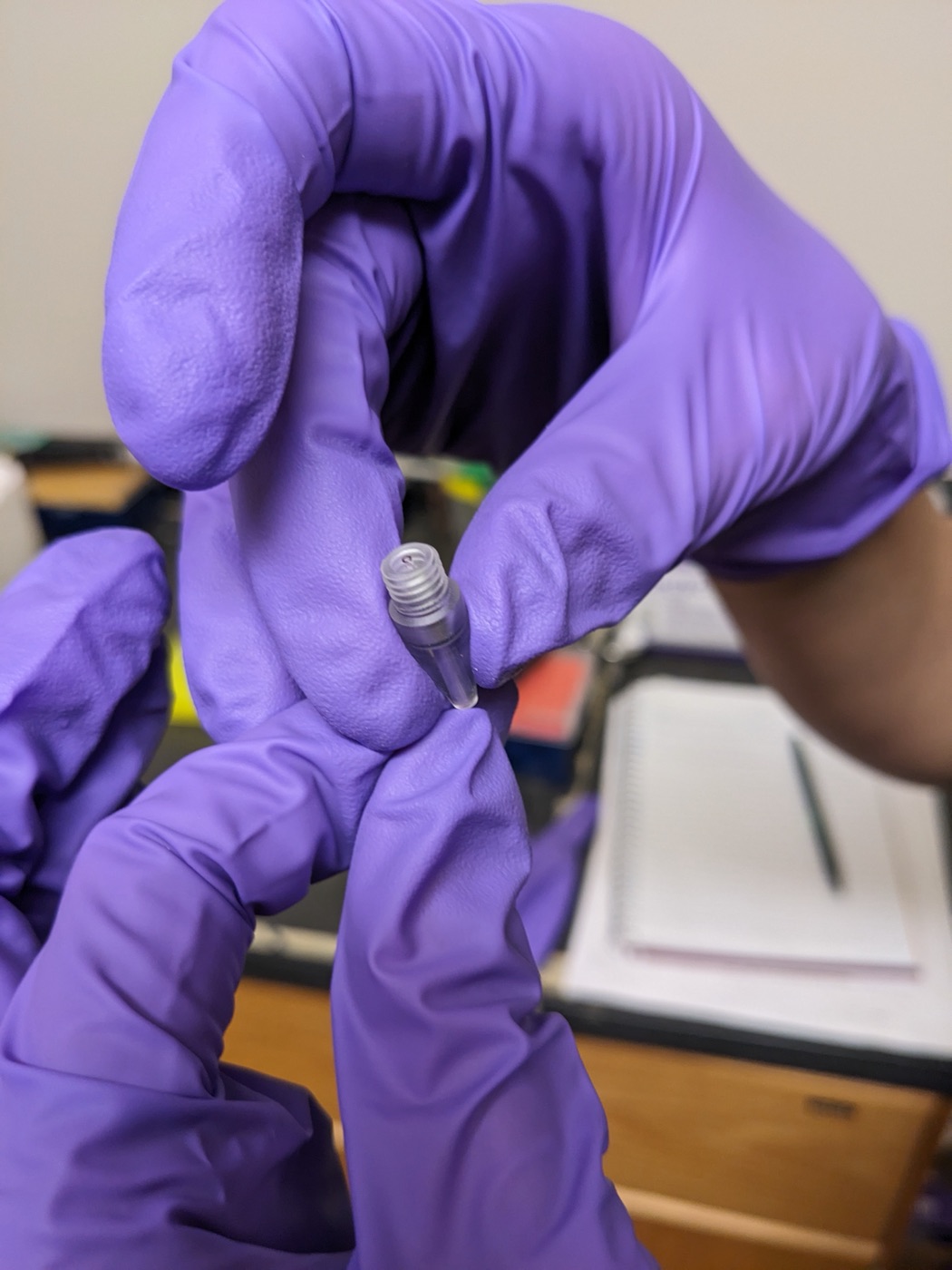 Insert the needle into the needle holder, end first, and make sure the needle end is visible