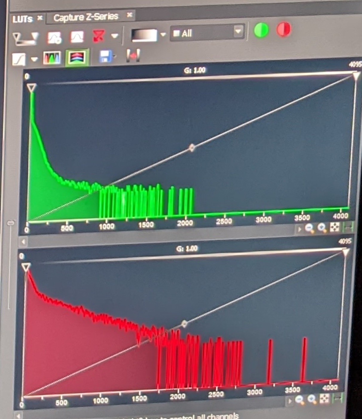 GFP expression signal